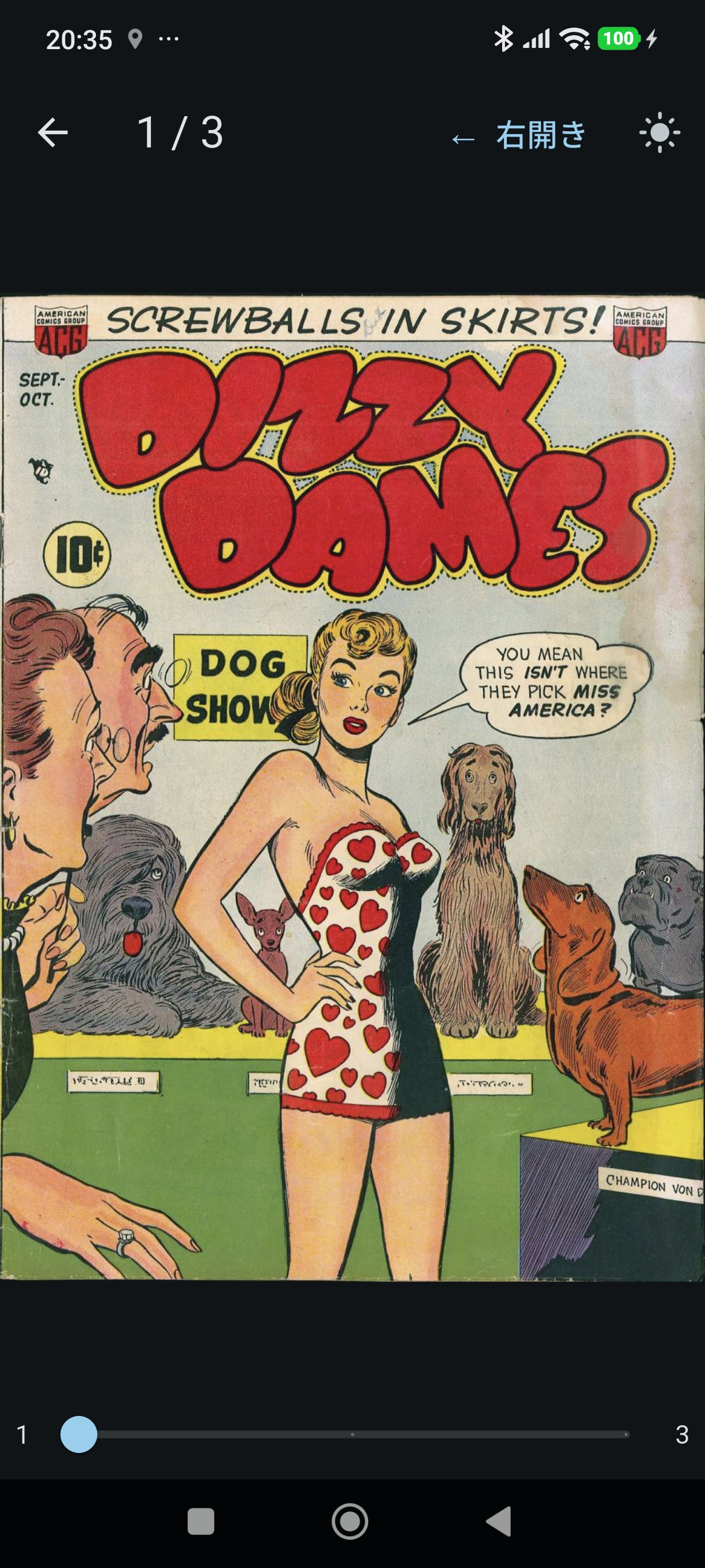 Komic Viewer Screenshot 2